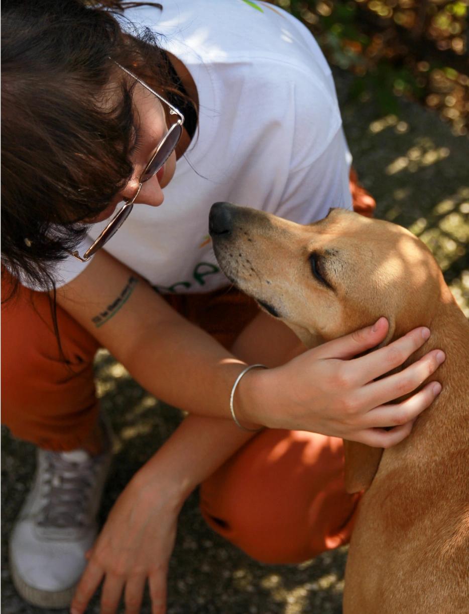 Caratteristiche dell’attività - Donna che accarezza cani dietro una rete
