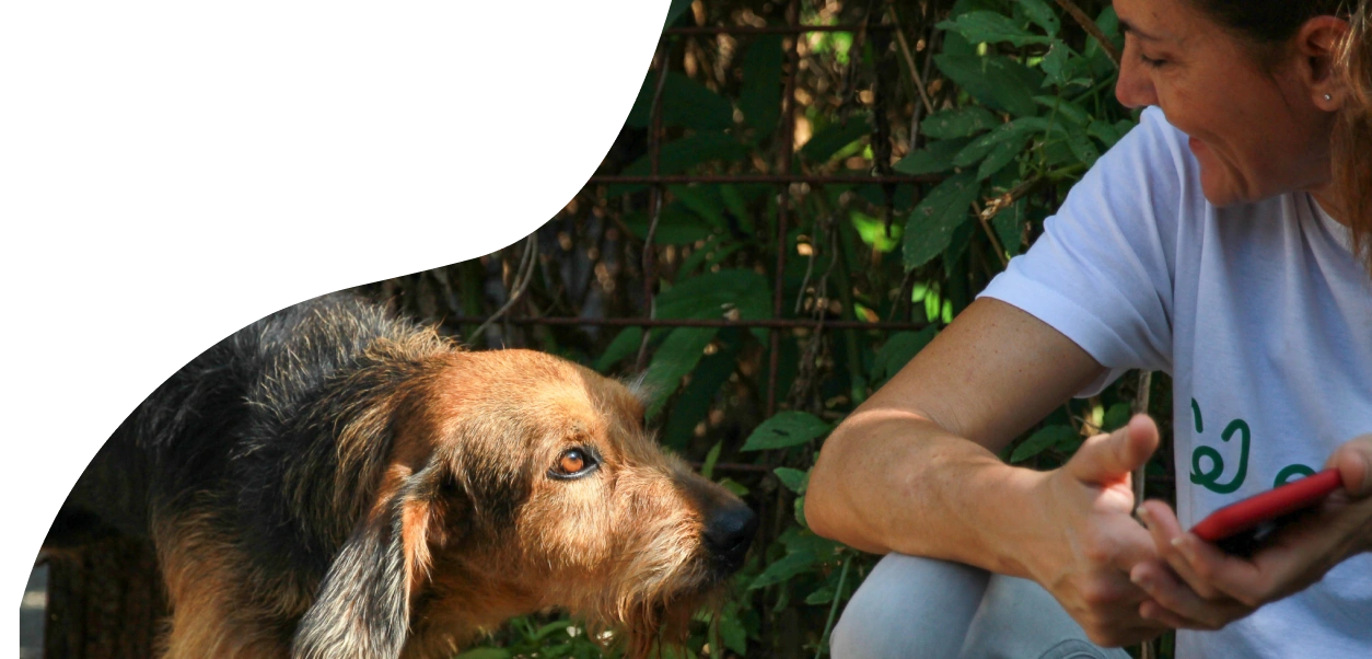 Aziende che supportano Empethy - cane che chiede coccole al padrone