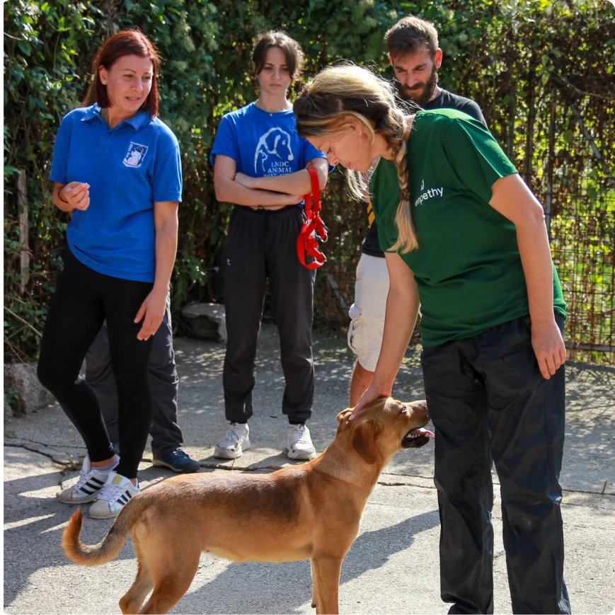 Empethy Academy - Educatrice con cane durante una sessione del percorso “Responsabile Pet Owner”