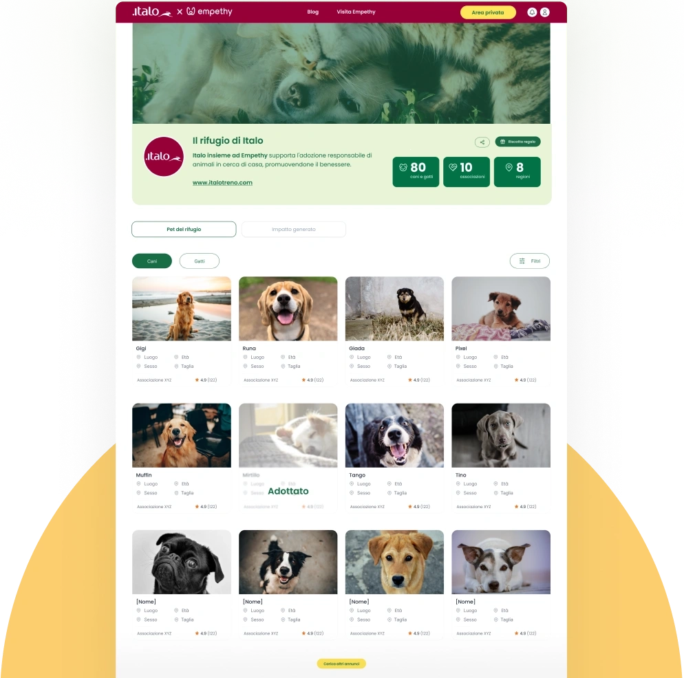 Crea il tuo rifugio virtuale per animali - Schermata web di un rifugio con cani in adozione