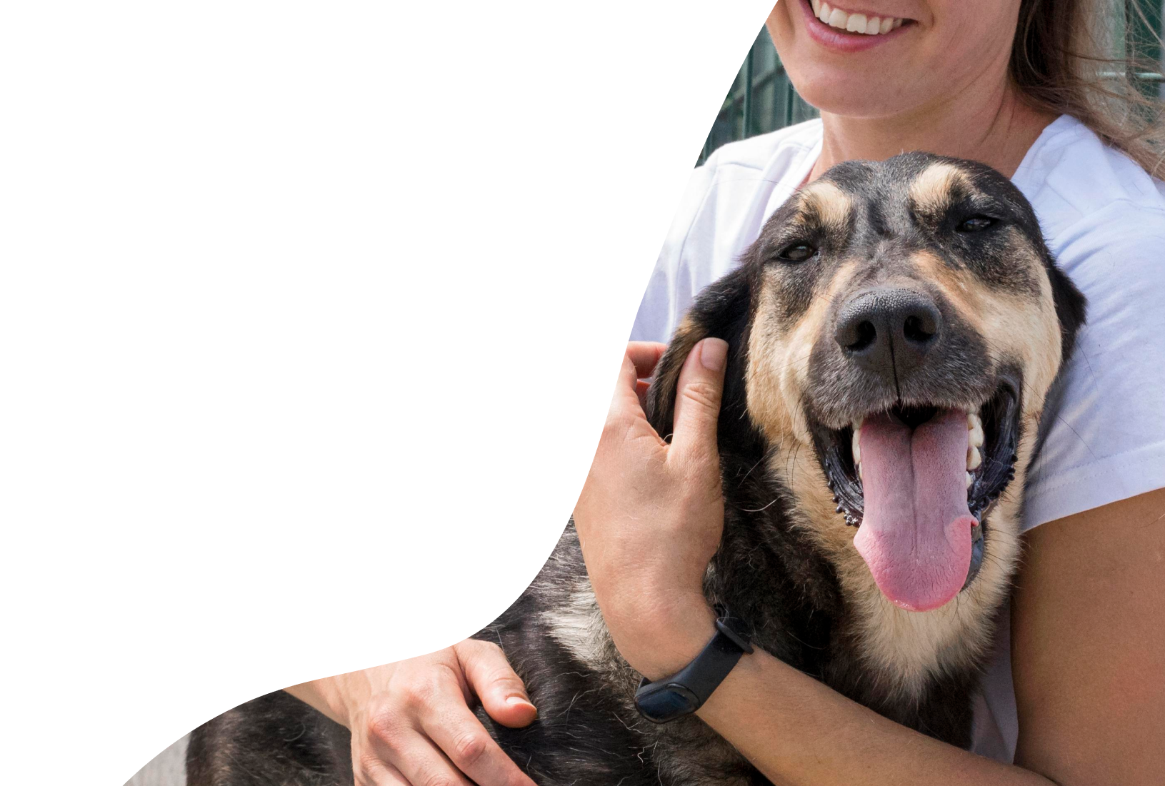 Risultati della campagna Empethy - cane abbracciato dalla padrona