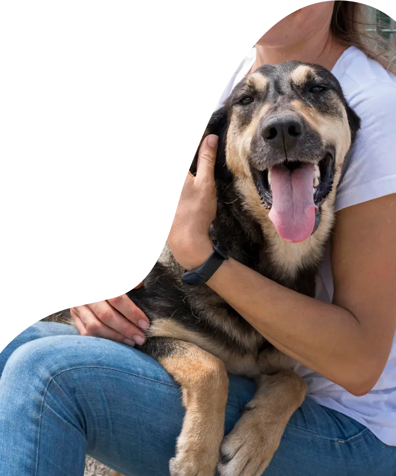 Risultati della campagna Empethy - cane abbracciato dalla padrona
