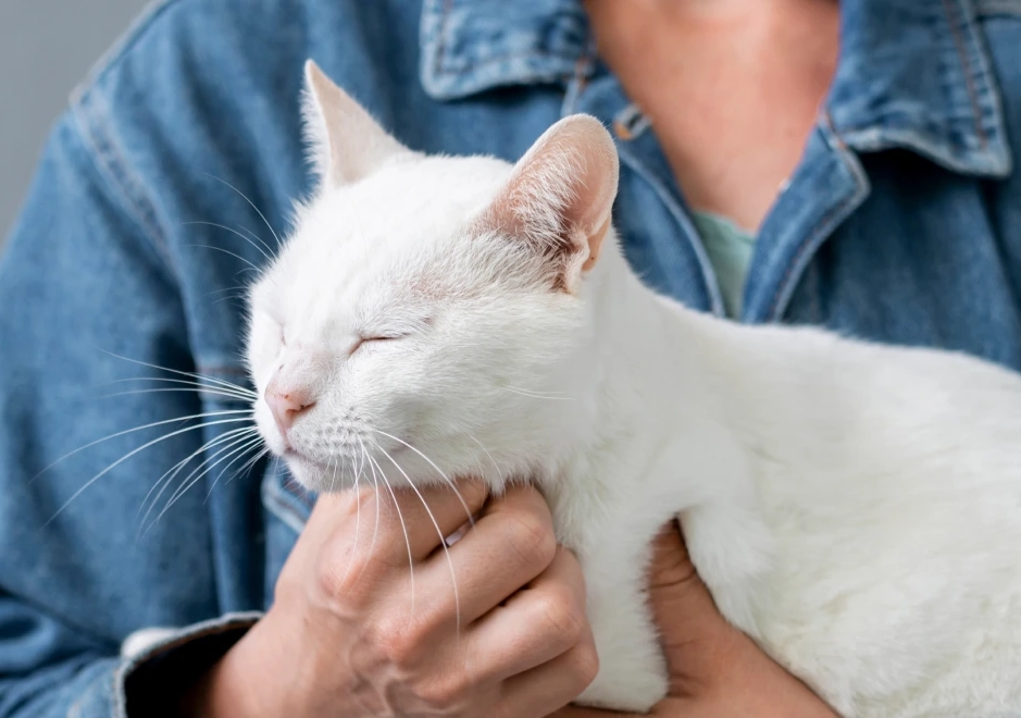Competenze nel Pet Care e CSR - Formatrice Empethy che accarezza un cane