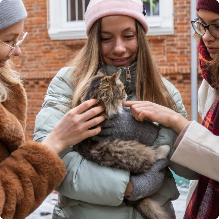 Gatto che riceve coccole in braccio a una donna